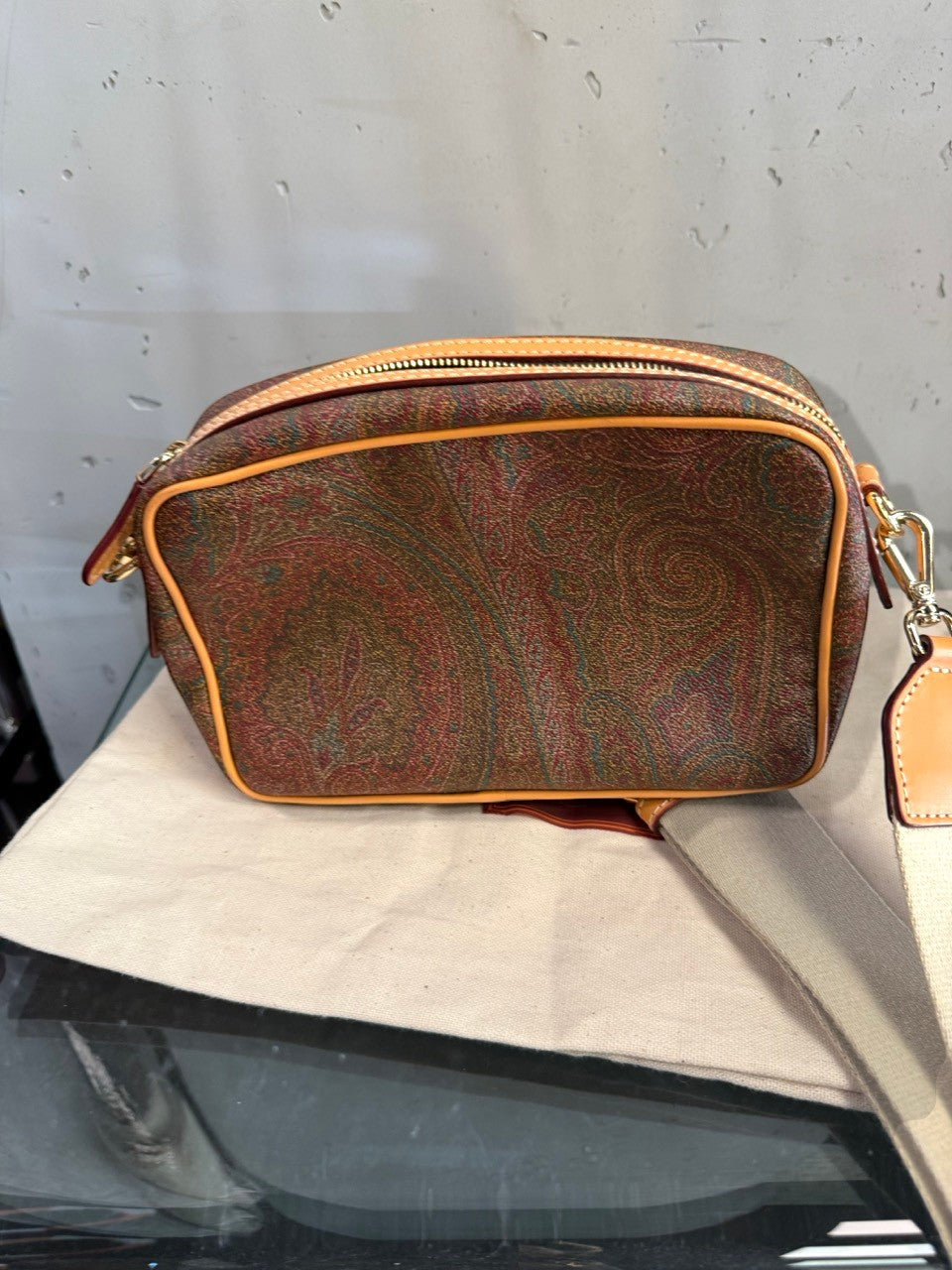 Etro paisley camera bag, back view